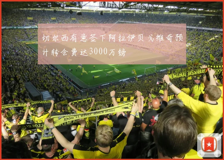 切尔西有意签下阿拉伊贝戈维奇预计转会费达3000万镑
